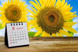 夏季休業のお知らせ